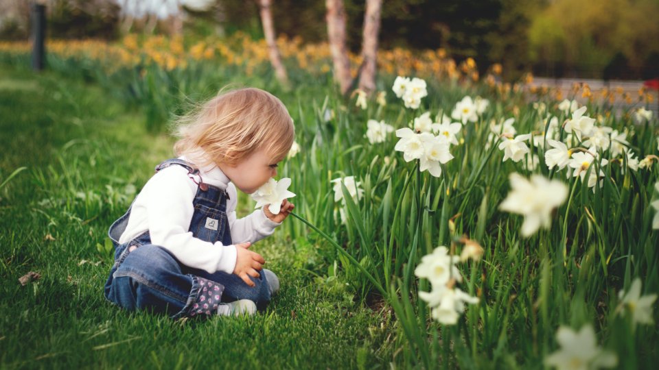 https://partridge.develop.propertystream.co/content/uploads/Area-guide-Solihull-Natural-beauty.jpg